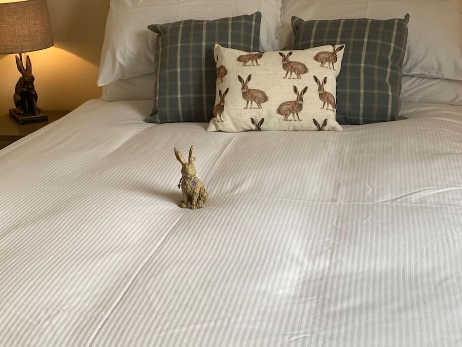 The Burrow, Langholm, Dumfries And Galloway Zewnętrze zdjęcie